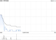 海通证券：神州控股大数据与境外业务表现优秀