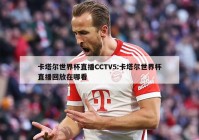 卡塔尔世界杯直播CCTV5:卡塔尔世界杯直播回放在哪看