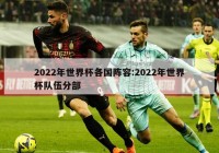 2022年世界杯各国阵容:2022年世界杯队伍分部