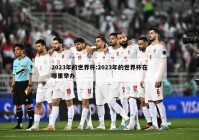 2023年的世界杯:2023年的世界杯在哪里举办